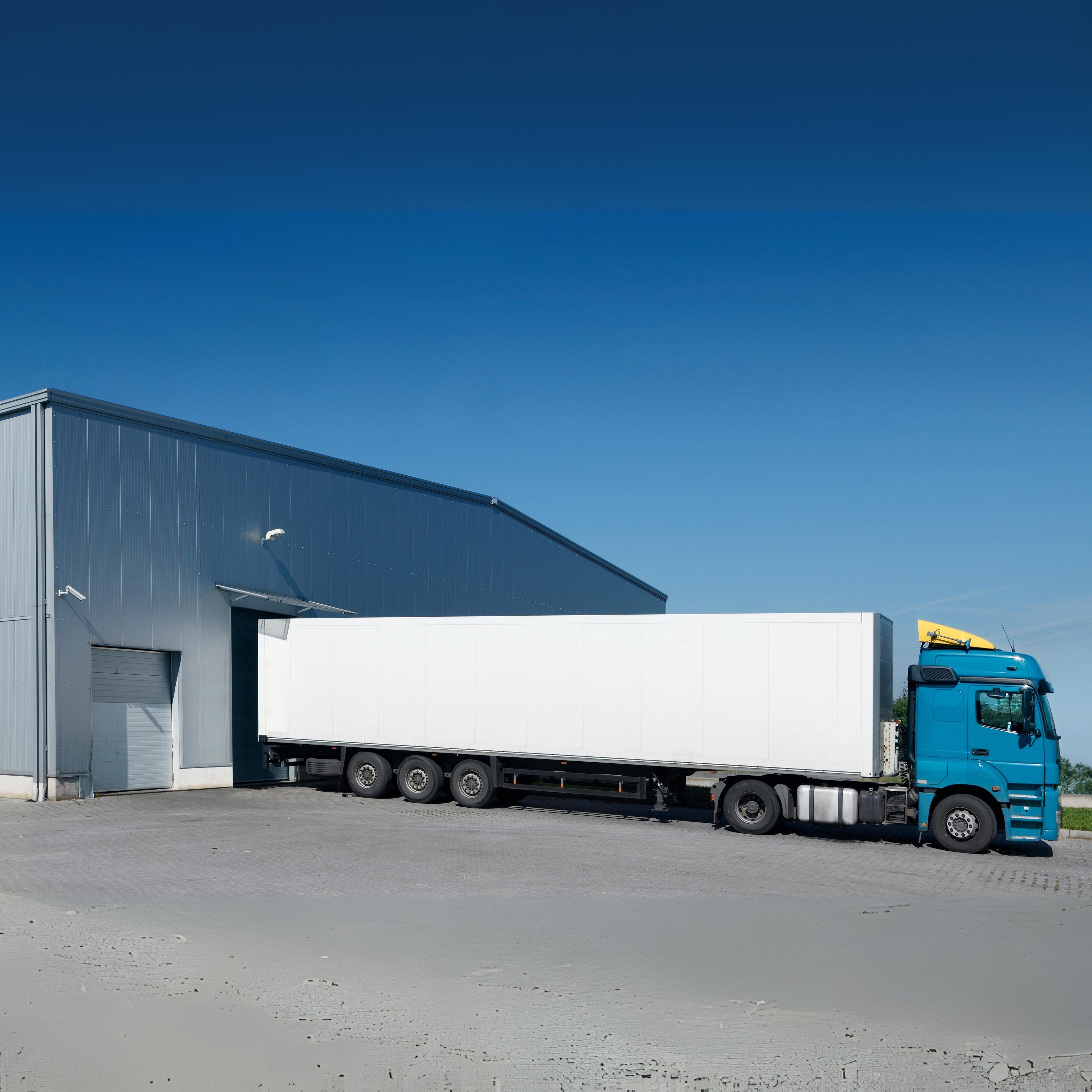 Fast and Reliable Shipping: We offer fast and reliable shipping options to ensure your orders arrive on time.